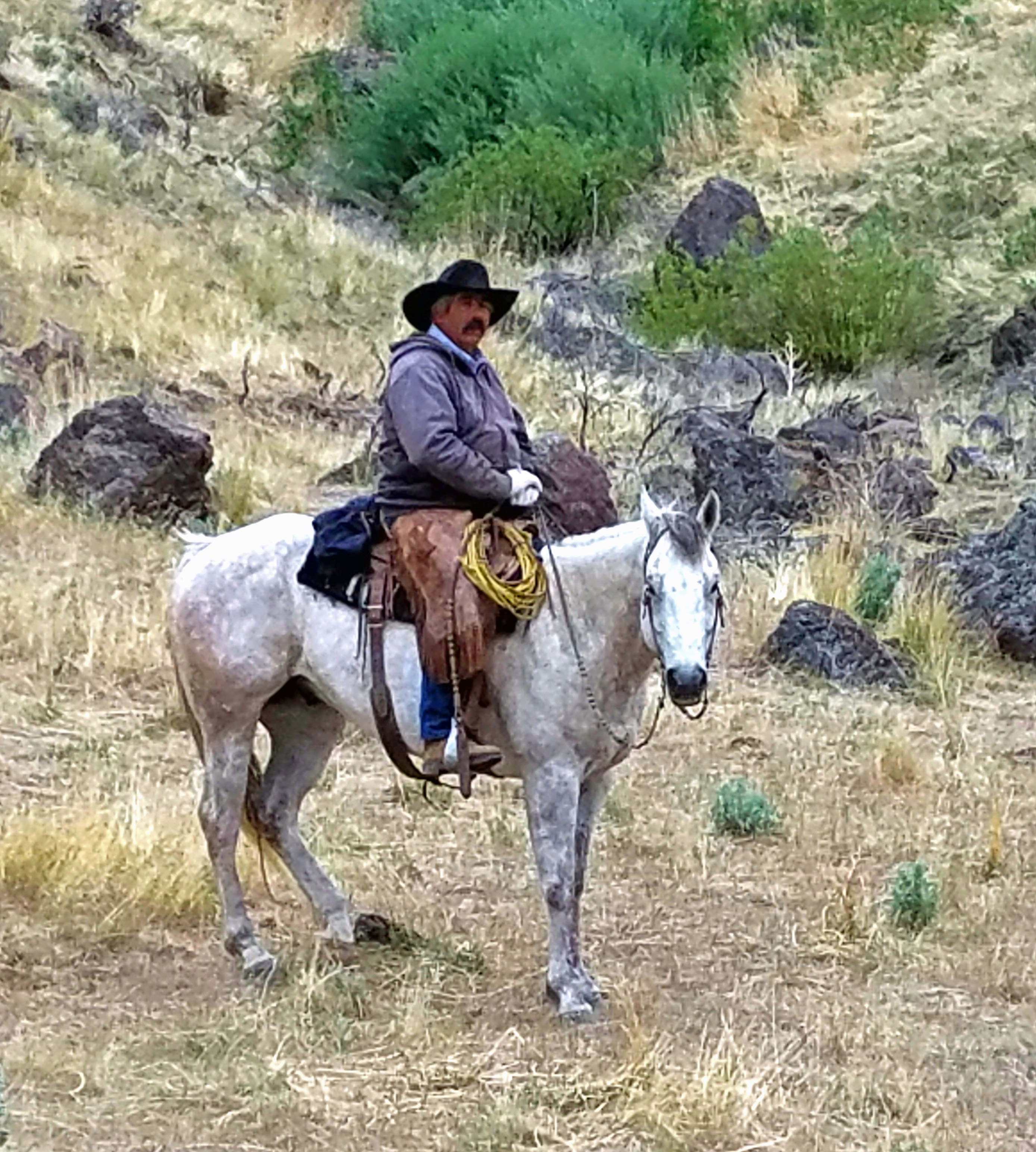 Ted Blackstock riding a hourse